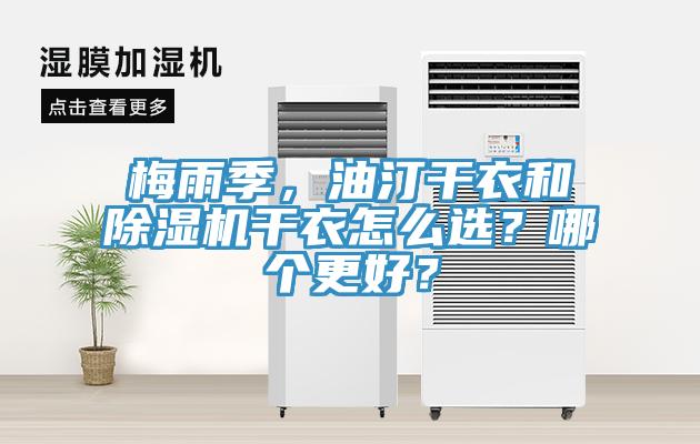 梅雨季，油汀干衣和猫咪成人官网干衣怎么选？哪个更好？