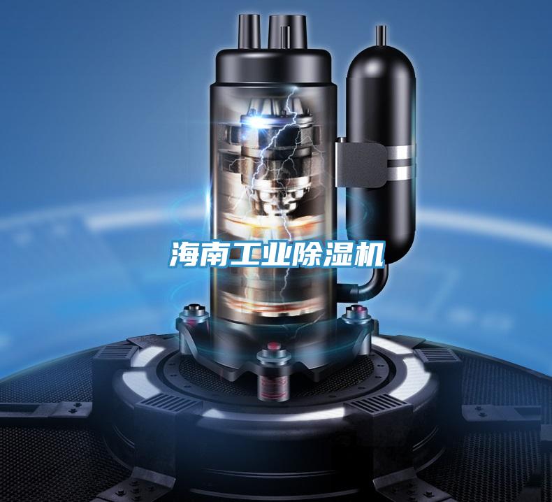 海南工业猫咪成人官网