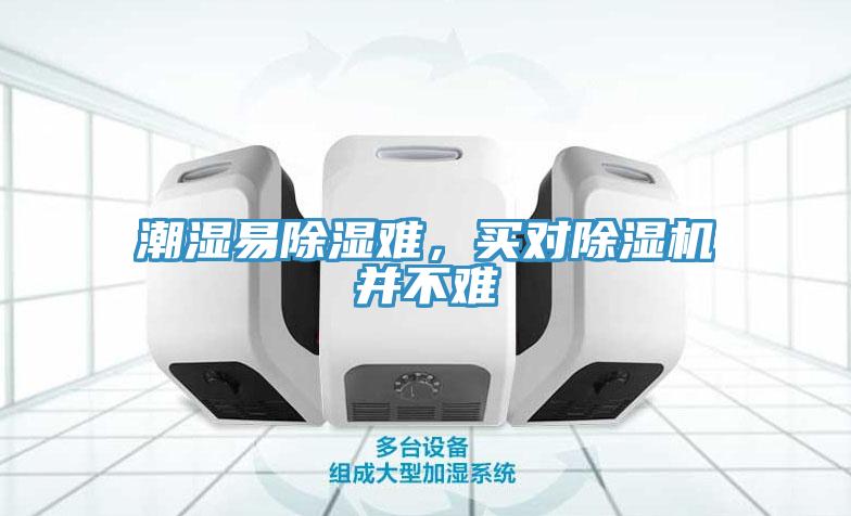 潮湿易除湿难，买对猫咪成人官网并不难