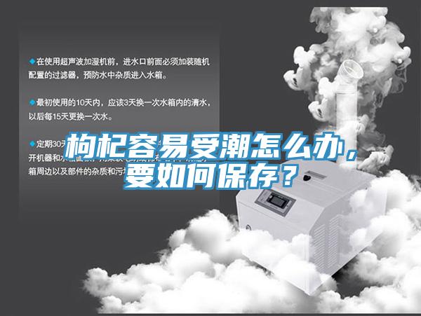 枸杞容易受潮怎么办，要如何保存？