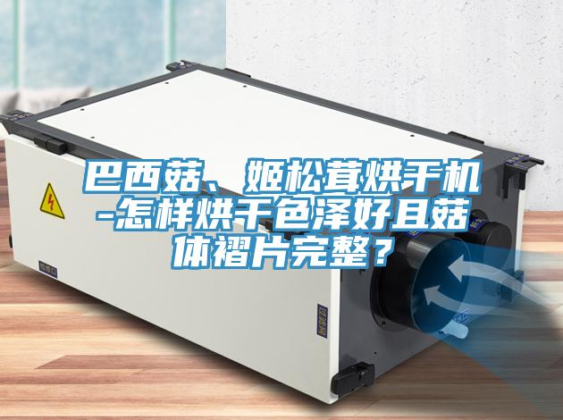巴西菇、姬松茸烘干机-怎样烘干色泽好且菇体褶片完整？
