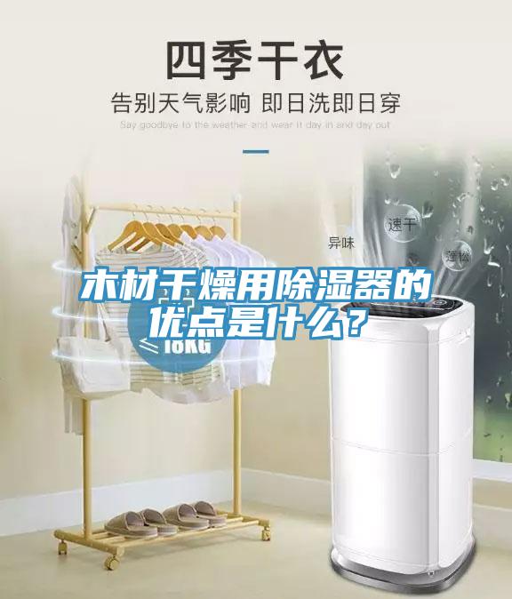 木材干燥用除湿器的优点是什么？