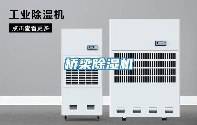 桥梁猫咪成人官网