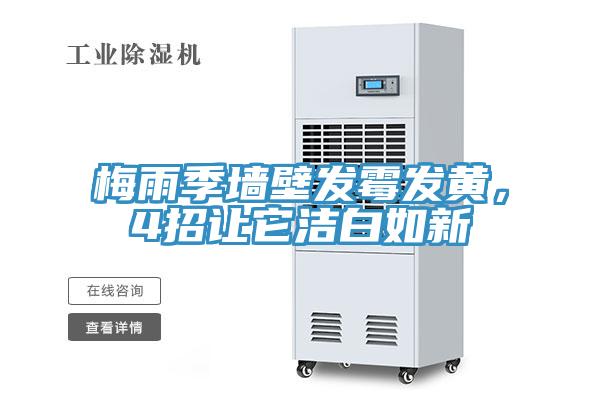 梅雨季墙壁发霉发黄，4招让它洁白如新