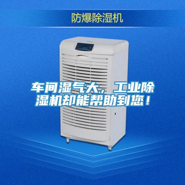 车间湿气大，工业猫咪成人官网却能帮助到您！