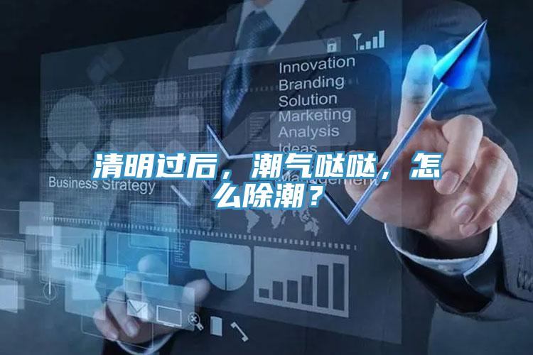 清明过后，潮气哒哒，怎么除潮？