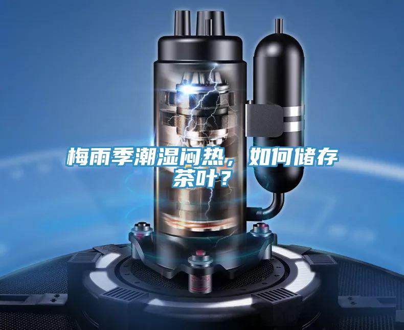 梅雨季潮湿闷热，如何储存茶叶？