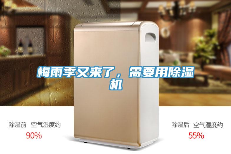 梅雨季又来了，需要用猫咪成人官网
