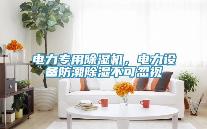 电力专用猫咪成人官网，电力设备防潮除湿不可忽视