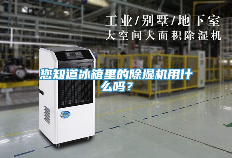 您知道冰箱里的猫咪成人官网用什么吗？