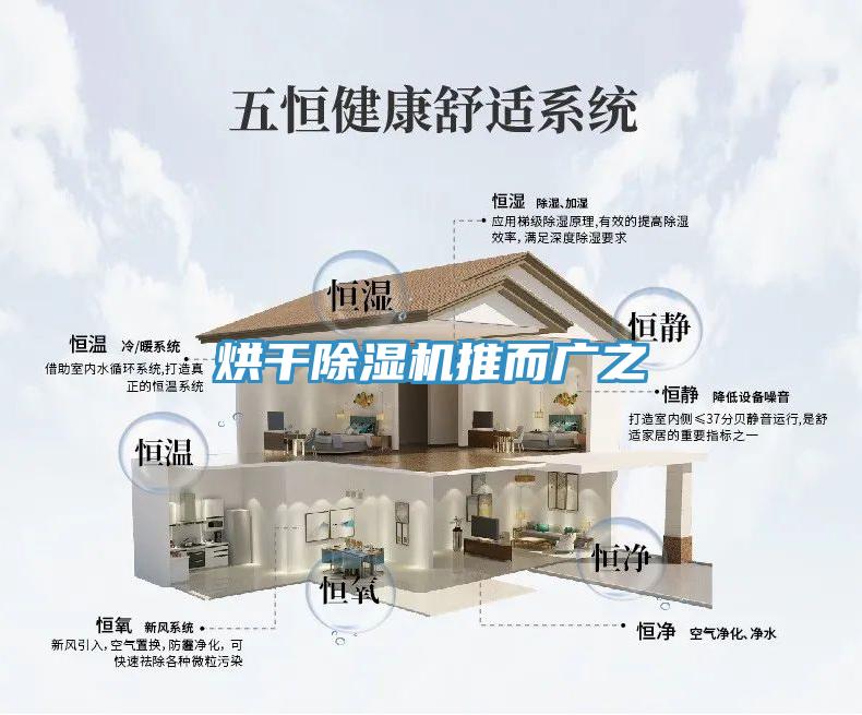 烘干猫咪成人官网推而广之