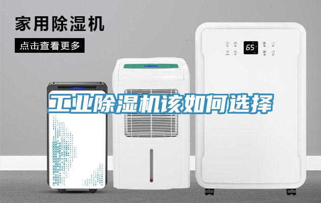 工业猫咪成人官网该如何选择
