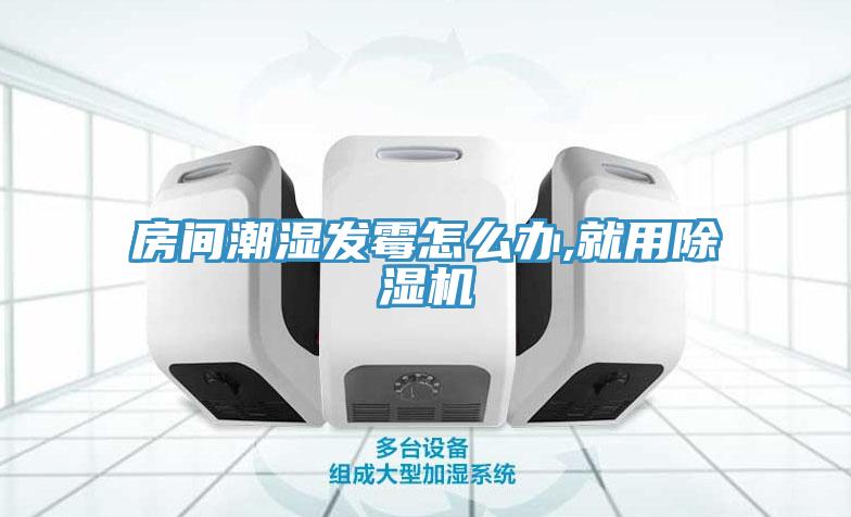 房间潮湿发霉怎么办,就用猫咪成人官网
