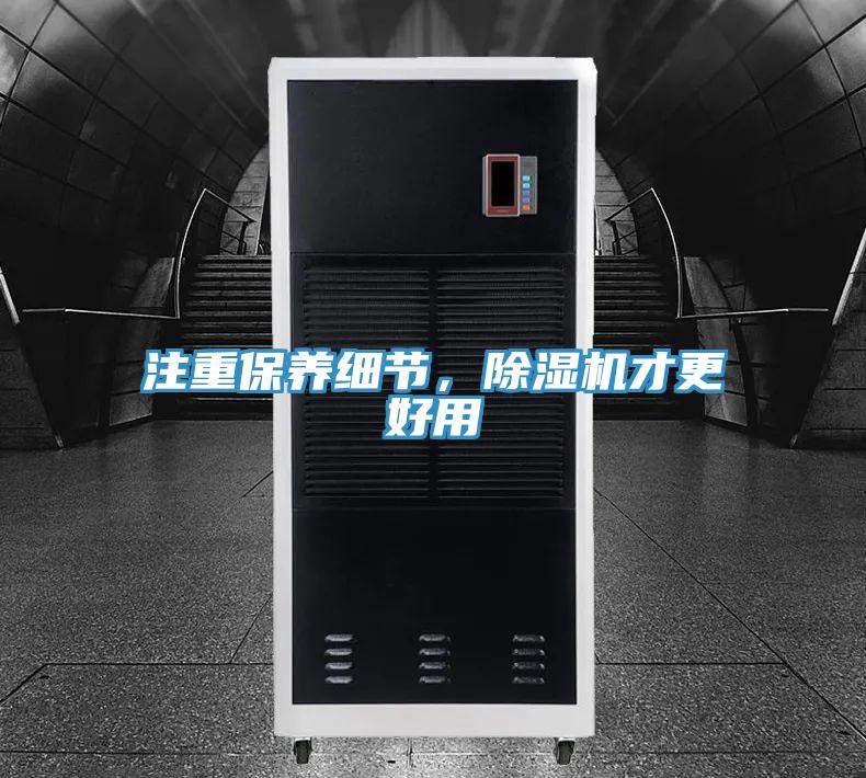 注重保养细节，猫咪成人官网才更好用