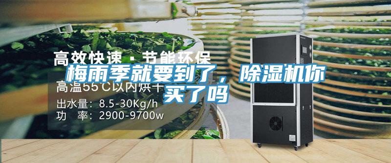 梅雨季就要到了，猫咪成人官网你买了吗