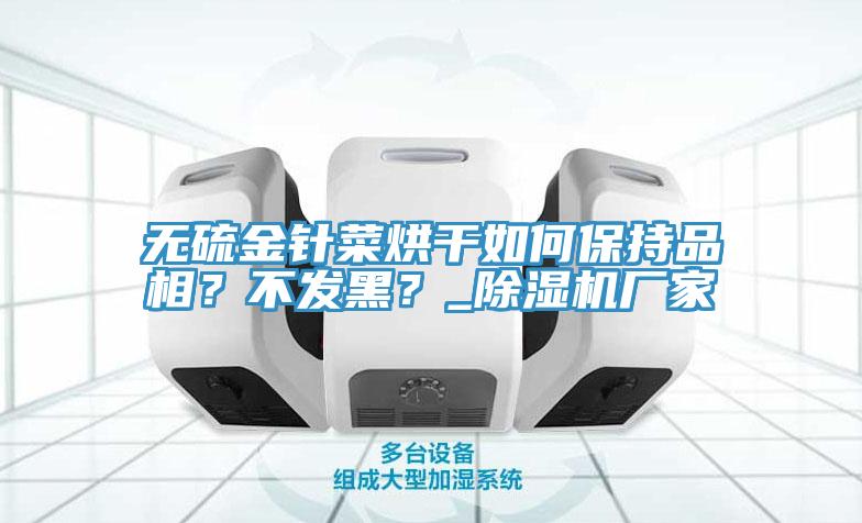 无硫金针菜烘干如何保持品相？不发黑？_猫咪成人官网厂家