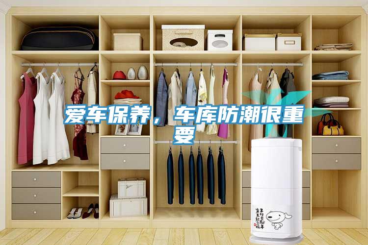 爱车保养，车库防潮很重要