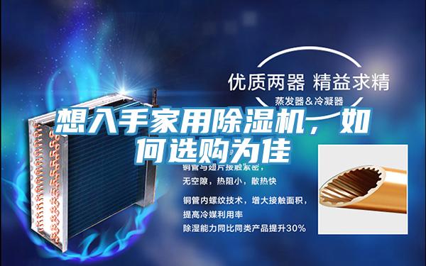 想入手家用猫咪成人官网，如何选购为佳