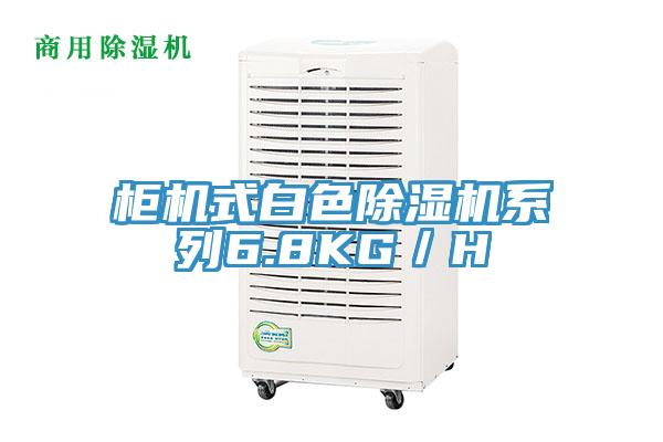 柜机式白色猫咪成人官网系列6.8KG／H