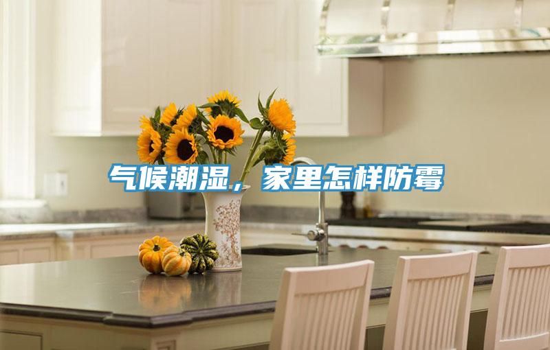 气候潮湿，家里怎样防霉