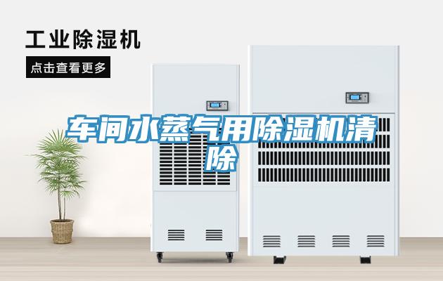 车间水蒸气用猫咪成人官网清除