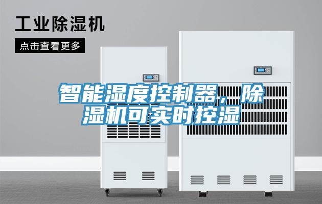 智能湿度控制器，猫咪成人官网可实时控湿