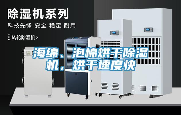 海绵、泡棉烘干猫咪成人官网，烘干速度快