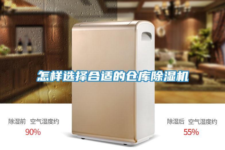 怎样选择合适的仓库猫咪成人官网