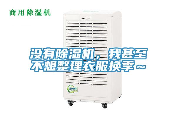 没有猫咪成人官网，我甚至不想整理衣服换季～