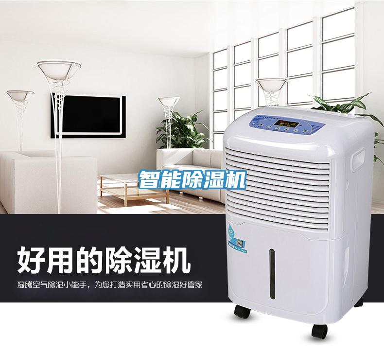 智能猫咪成人官网
