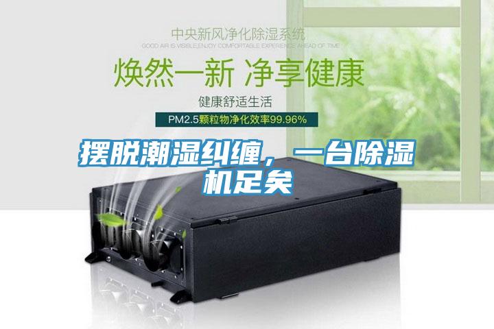 摆脱潮湿纠缠，一台猫咪成人官网足矣