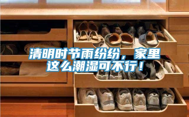 清明时节雨纷纷，家里这么潮湿可不行！