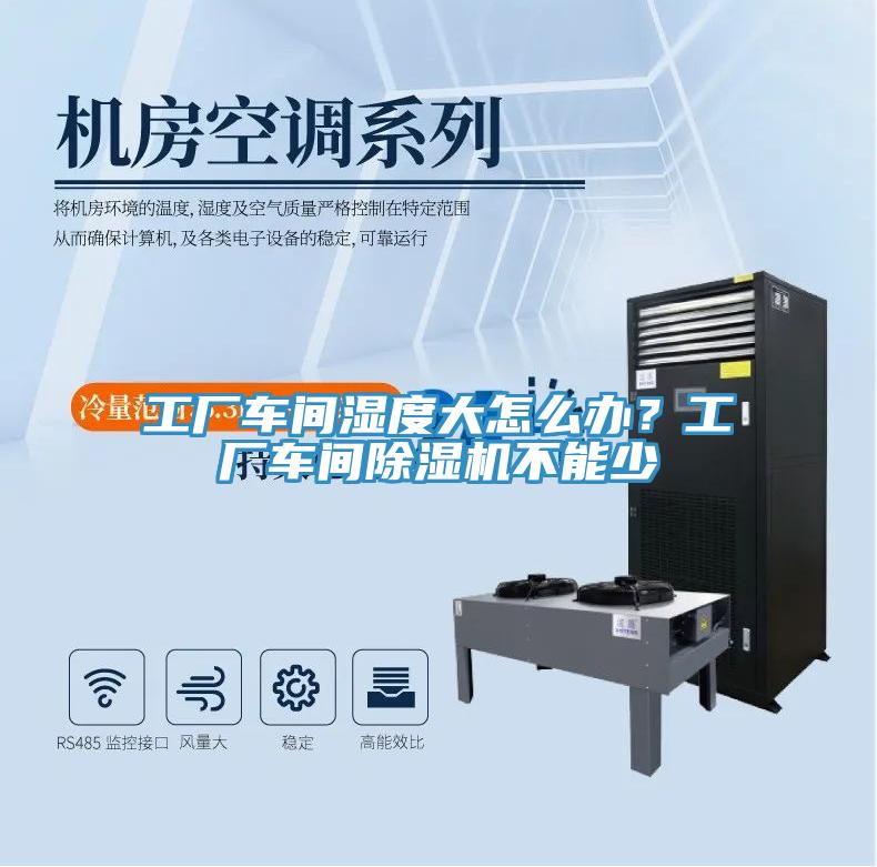 工厂车间湿度大怎么办？工厂车间猫咪成人官网不能少