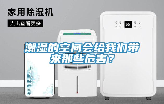 潮湿的空间会给猫咪成人在线视频带来那些危害？