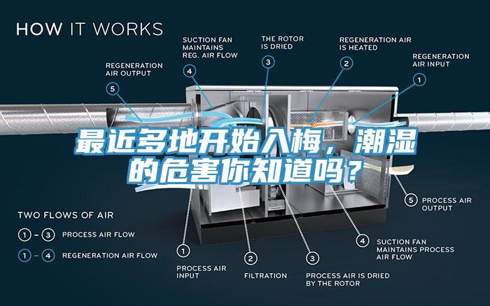 最近多地开始入梅，潮湿的危害你知道吗？