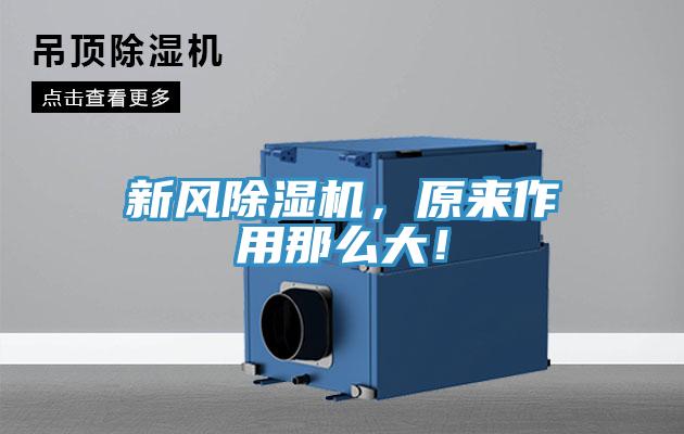 新风猫咪成人官网，原来作用那么大！