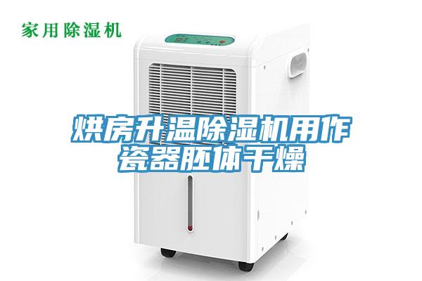 烘房升温猫咪成人官网用作瓷器胚体干燥