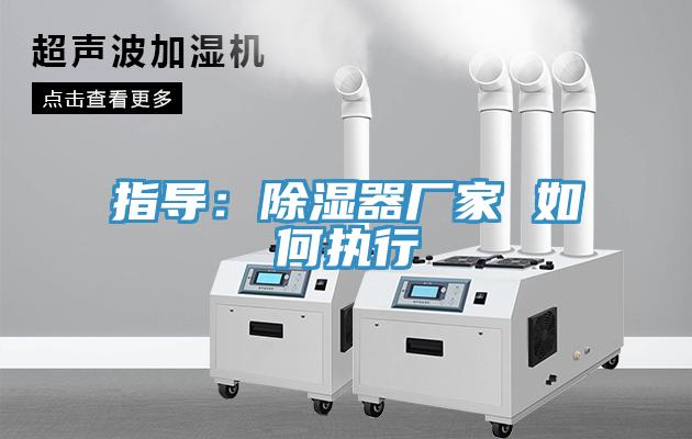 指导：除湿器厂家 如何执行