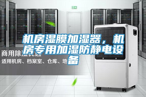 机房湿膜加湿器，机房专用加湿防静电设备