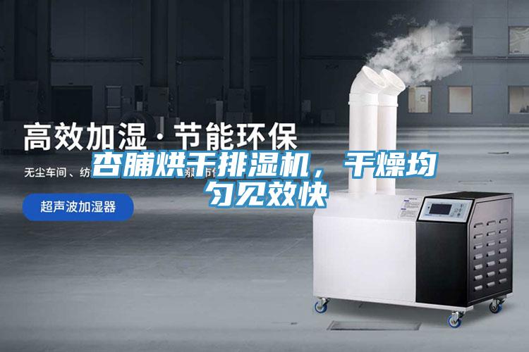 杏脯烘干排湿机，干燥均匀见效快