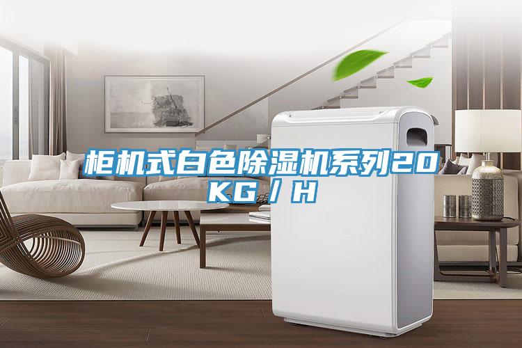 柜机式白色猫咪成人官网系列20KG／H