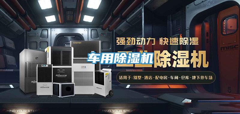 车用猫咪成人官网