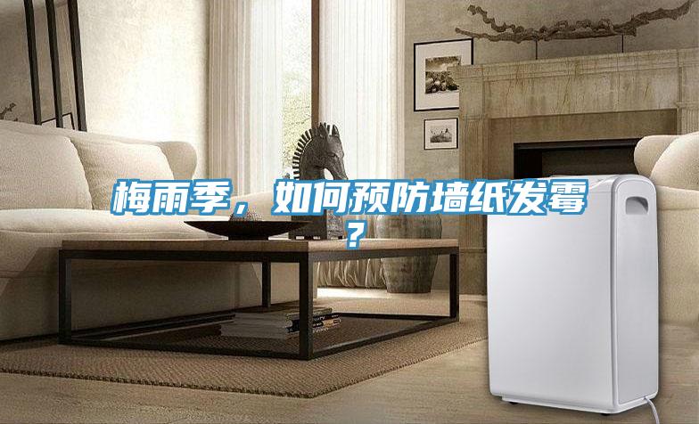 梅雨季，如何预防墙纸发霉？