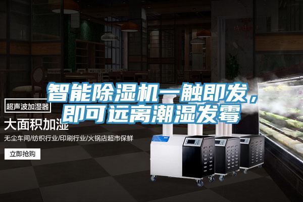 智能猫咪成人官网一触即发，即可远离潮湿发霉