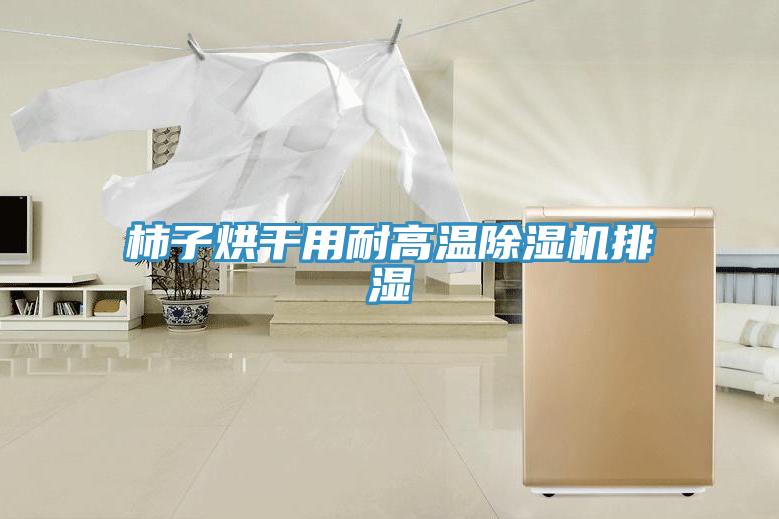 柿子烘干用耐高温猫咪成人官网排湿
