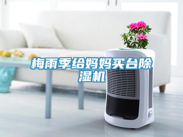 梅雨季给妈妈买台猫咪成人官网