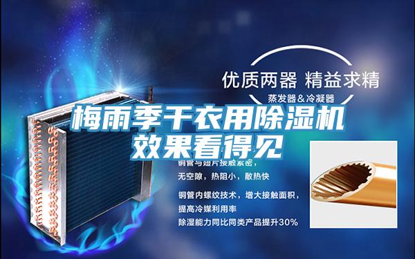 梅雨季干衣用猫咪成人官网效果看得见
