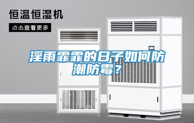 淫雨霏霏的日子如何防潮防霉？
