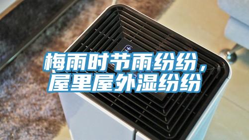 梅雨时节雨纷纷，屋里屋外湿纷纷
