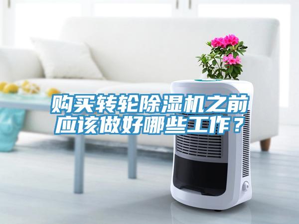 购买转轮猫咪成人官网之前应该做好哪些工作？